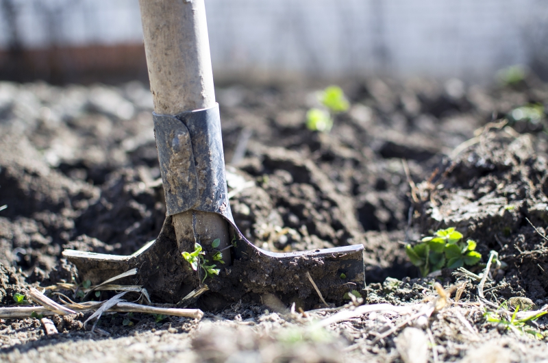 jardinerie-SIX FOURS LES PLAGES-min_equipment-2047314